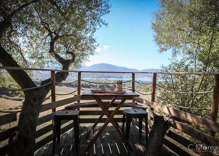 Dans Les Arbres, Domaine De L Ogliastru Olmeto (Corsica)
