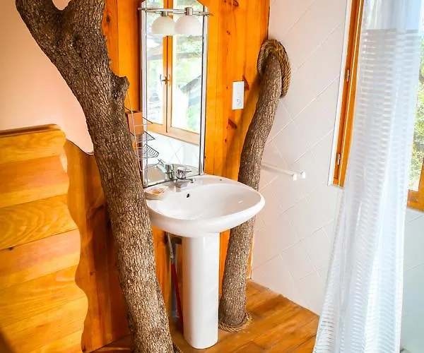Dans Les Arbres, Domaine De L Ogliastru Olmeto (Corsica)